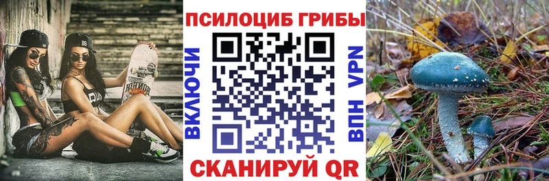 Галлюциногенные грибы Magic Shrooms  Купить  Верхнеуральск 